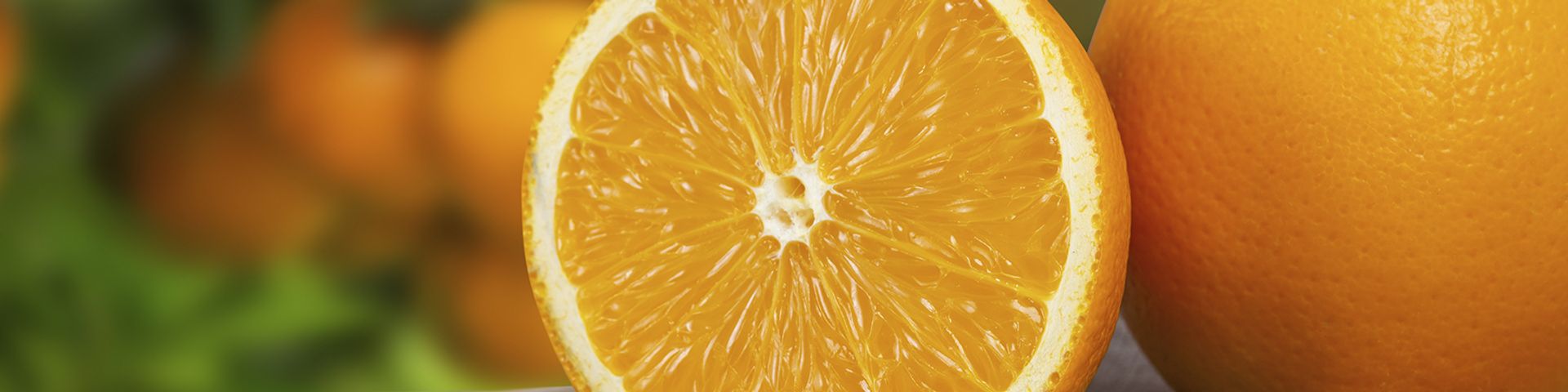 DEFECTOS Y ALTERACIONES EN FRUTOS CÍTRICOS